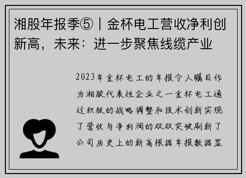 湘股年报季⑤｜金杯电工营收净利创新高，未来：进一步聚焦线缆产业